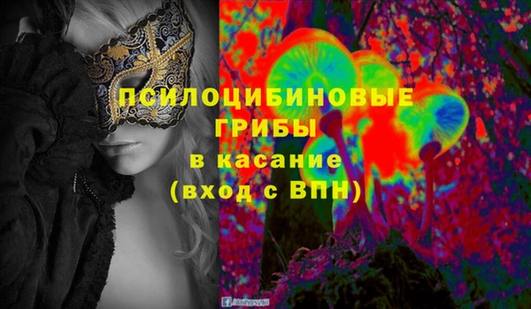 СК Куйбышев