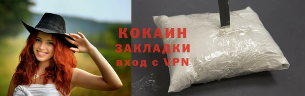дживик Ладушкин
